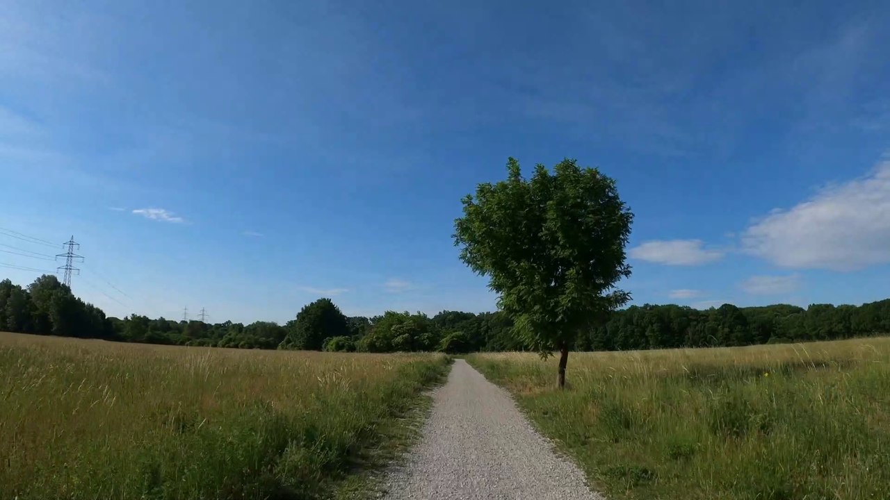 Wien am Rad: Durch die Obere Lobau (1)