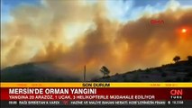 Mersin'de korkutan orman yangını