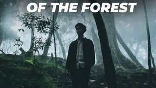 Echoes Of The Forest (Instrumental) - Echoes of the Forest - Soothing Sparrow