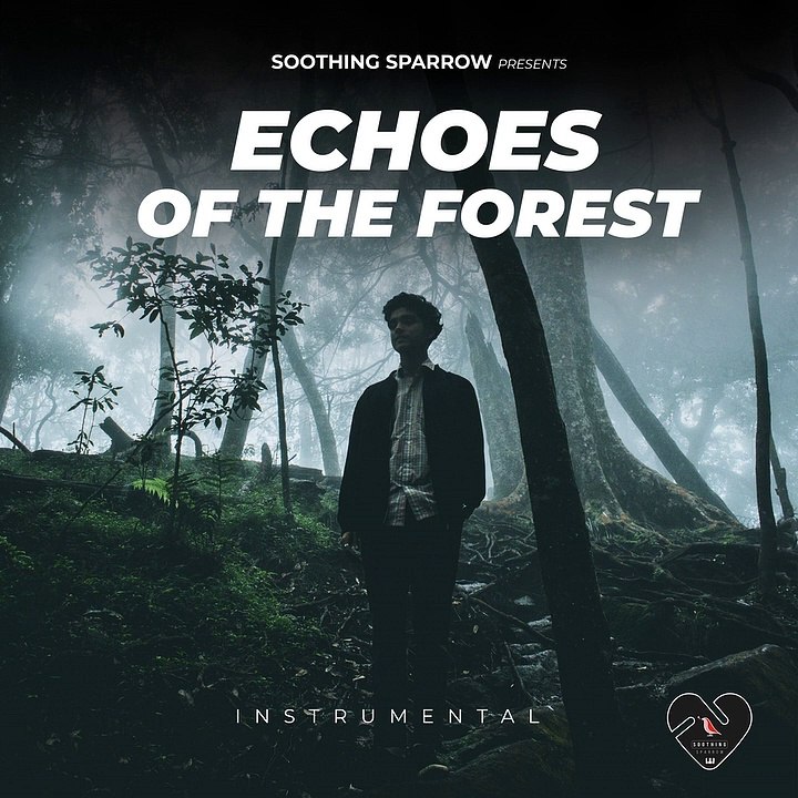 Emotional Cinematic Ambient (Instrumental) - Echoes of the Forest - Soothing Sparrow