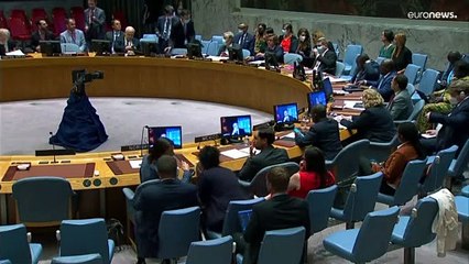 UN fordert kampffreie Zone um ukrainisches AKW Saporischschja