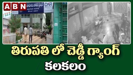 తిరుపతి లో చెడ్డీ గ్యాంగ్ కలకలం || ABN Telugu