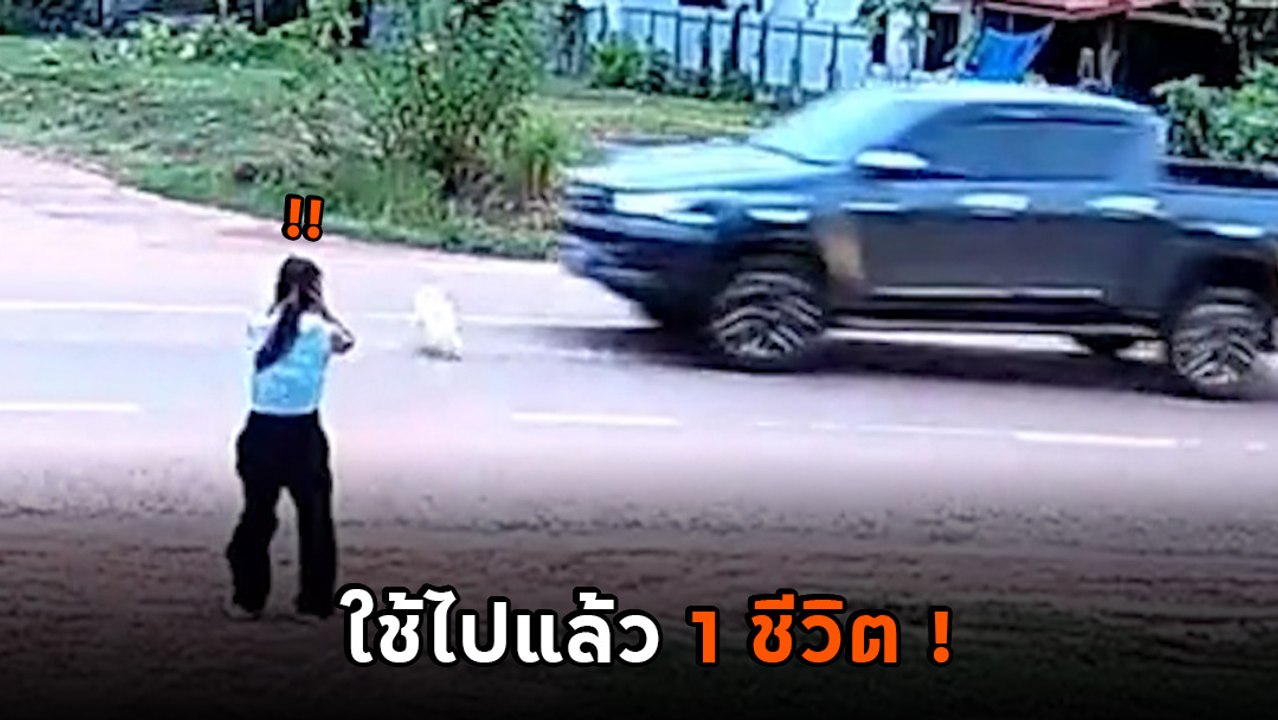 อุทาหรณ์คนเลี้ยงหมาแล้วบ้านติดถนน เหตุการณ์นี้ใ...