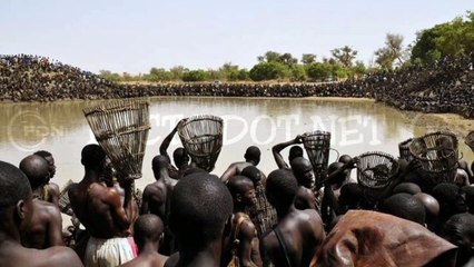 Did You Know? Fishing Frenzy || FACTS || TRIVIA