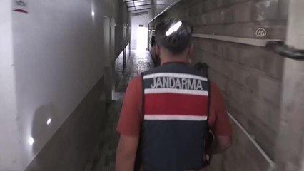 Son dakika haberleri... Jandarmanın can yoldaşı "Ezber" yıllardır uyuşturucunun izini sürüyor