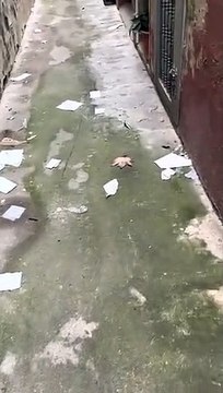 Suciedad en una calle de sant Andreu