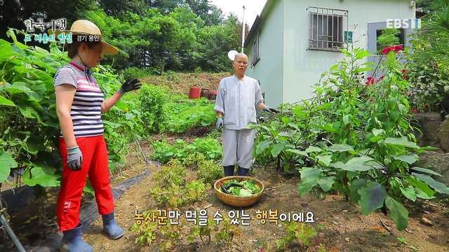 한국기행 - Korea travel_그 여름의 밥심 3부- 산사의 여름 성찬_#002