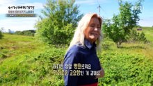 세계테마기행 - 한밤의 태양 즐기기, 북유럽- 바이킹의 바다, 헬겔란드_#002