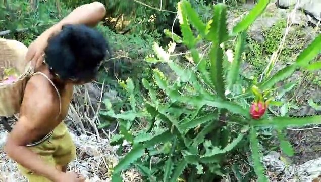 Jungle fruits collecting a man | man collecting fruits | jungle video | amazing fruits man eat | eat man video | video is amazing | lovely video | fruits lovely | fruits channel