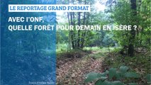 GRAND FORMAT - Avec l'ONF, quelle forêt pour demain en Isère ?