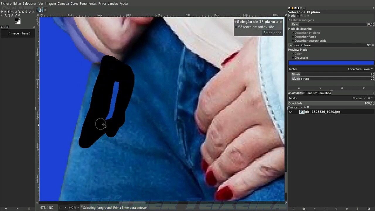 Gimp   Use of Foreground Selection Tool    time lapse