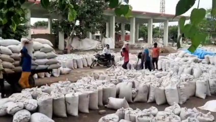 बाजरा की बम्पर आवक से अटा मंडी यार्ड,एक दिन बंद रखना पड़ा कारोबार