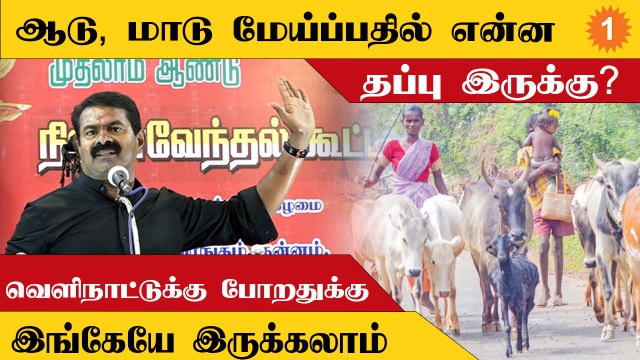 நாங்க ஆட்சிக்கு வந்தால் வெளிநாட்டு வாழ் தமிழர்களுக்கு தனி வாரியம் - சீமான்