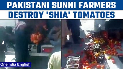 Pakistan farmers destroy tomato shipment from Iran that came as aid | Know why | Oneindia News*News
