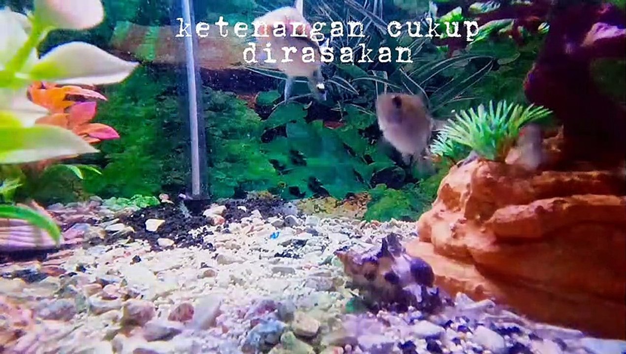 Ketenangan