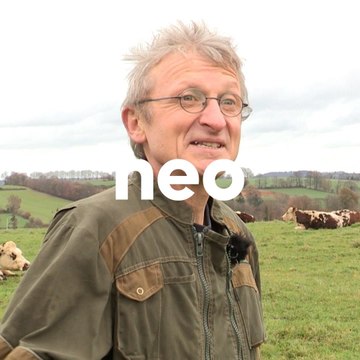 Victoire des producteurs artisanaux de camembert normand face aux industriels