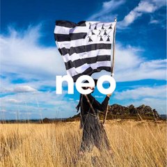 Le drapeau breton hissé par la mairie de Nantes