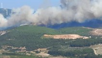 Manisa'da orman yangını! Alevler rüzgarın etkisiyle yerleşim yerlerine yaklaştı, 2 mahalle tedbir amaçlı boşaltıldı