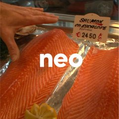 Comment produit-on du saumon fumé ?