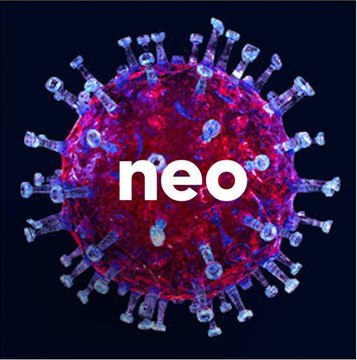 Ils sont cobayes pour le vaccin anti-covid