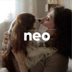 Les animaux de compagnie peuvent-ils nous transmettre le COVID ?