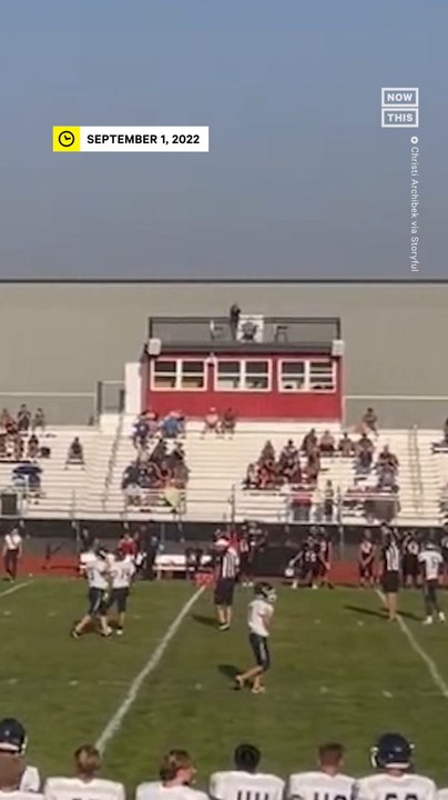 Family of Deer Interrupt High School Football Game