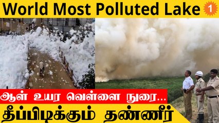 Bengaluru-வின் சாபம்!  தமிழகத்துக்கு வரும் Bellandur Lake சாக்கடை, தொழிற்சாலை கழிவுகள் *India