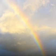 Clermont-Ferrand, la capitale de l'arc-en-ciel