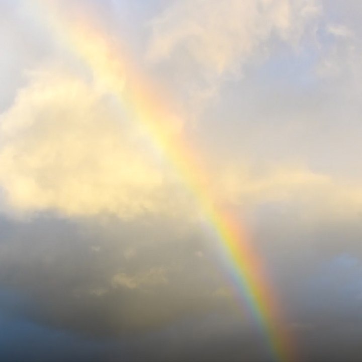 Clermont-Ferrand, la capitale de l'arc-en-ciel