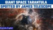 NASA’s James Webb Telescope spots ‘Giant Space Tarantula’| Oneindia News *News