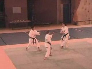 Mistral karaté unsu