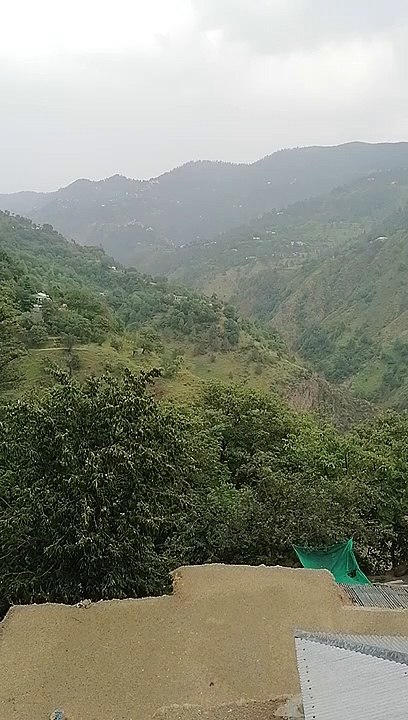 Village