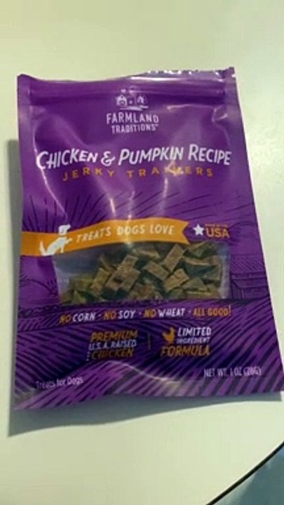 Chicken & Pumpkin Jerky Trainers for Princess