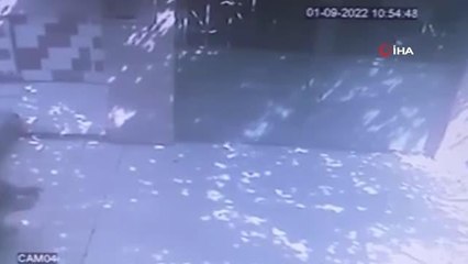 Bina görevlisini sırtından böyle bıçakladı