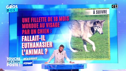 Une fillette de 18 mois mordue au visage par un chien