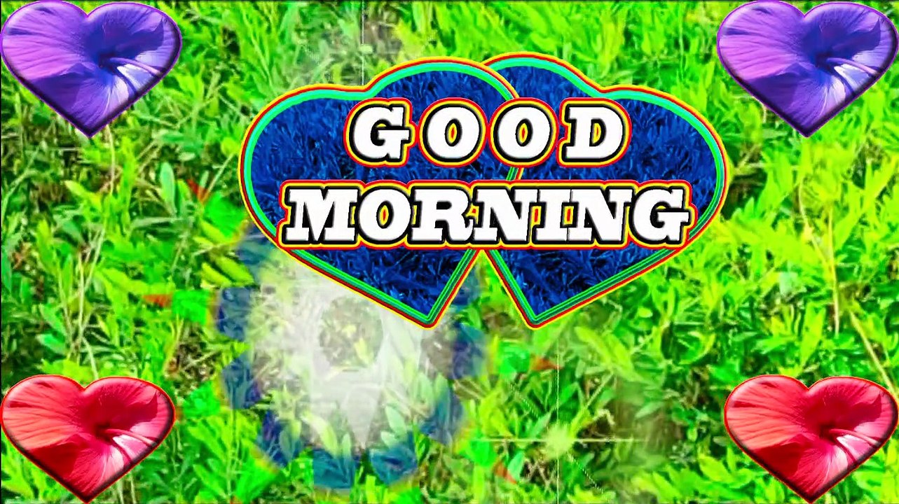 Good morning friends | Wishing you a wonderful day | best good morning motivational video 2022