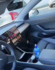 Grosse araignée fait tourner la toile du côté passager  - Buzz Buddy