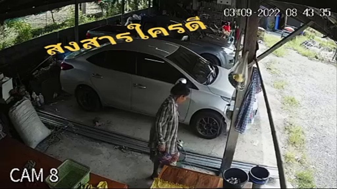Snake surprend Guy dans Garage  - Buzz Buddy