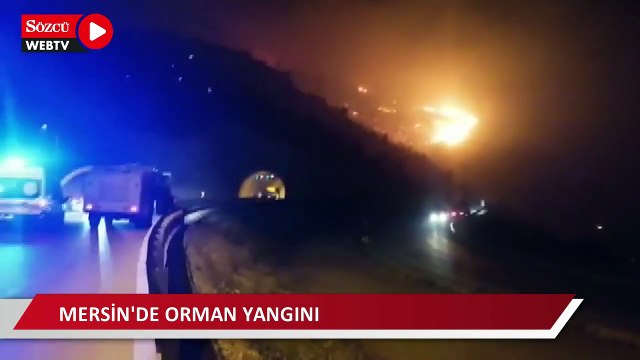 Mersin'de orman yangını; 110 hane tahliye edildi