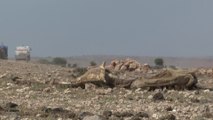 العربية 360| مبعوث أممي: الصومال على شفا المجاعة