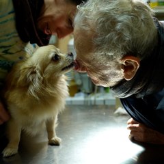 Philippe, 95 ans, le vétérinaire des animaux des stars exerce toujours