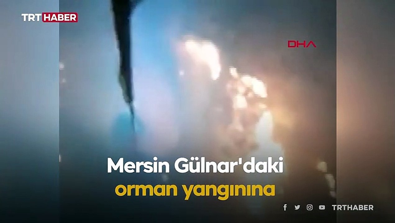 Mersin'de orman yangını