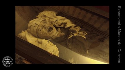 EXCONVENTO MUSEO DEL CARMEN: MOMIAS EN CDMX