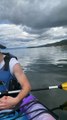 Baby Seal Visits Kayakers