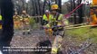 Emergency crews rescue little Archie from a Kangaroo Flat/Maiden Gully mine shaft | September 8, 2022 | Bendigo Advertiser