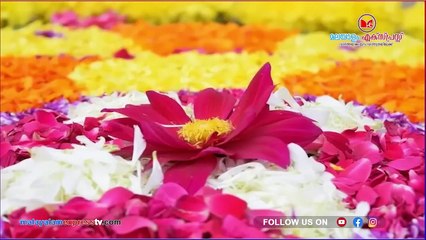 വൈറൽ ഡാൻസ് വീഡിയോക്ക് കൈയ്യടിയുമായി സോഷ്യൽ മീഡിയ