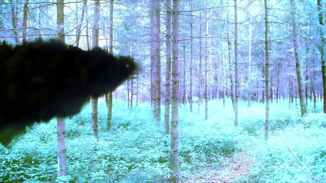 Fluch des Falken Staffel 4 Folge 37 HD Deutsch