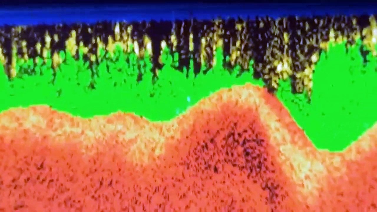 Joe Exotic Neue Enthüllungen Staffel 1 Folge 3 HD Deutsch