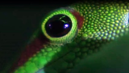 Mit Herz und Handschellen Staffel 1 Folge 7 HD Deutsch