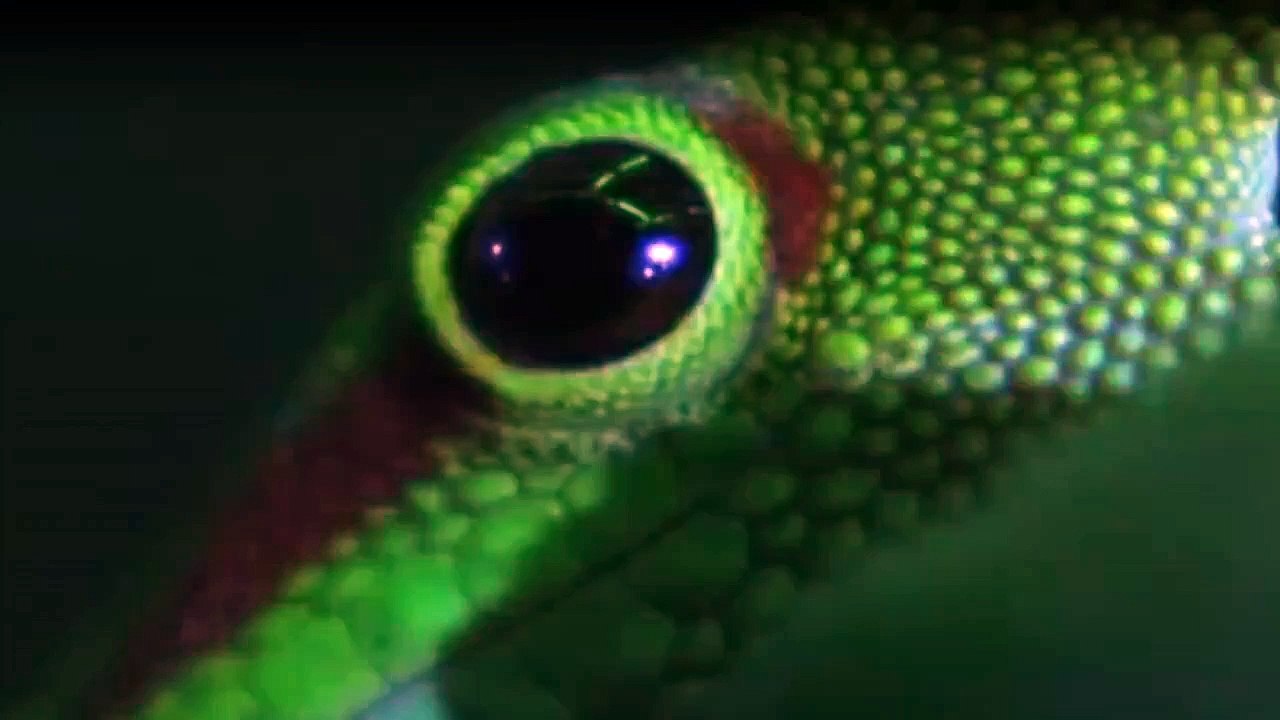 Mit Herz und Handschellen Staffel 1 Folge 7 HD Deutsch